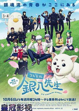 3年Z组银八老师